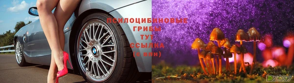 шишки Алексеевка