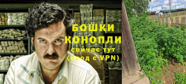 шишки Алексеевка