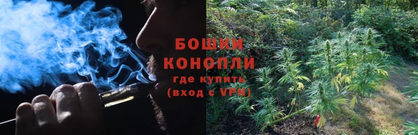 амф Алзамай